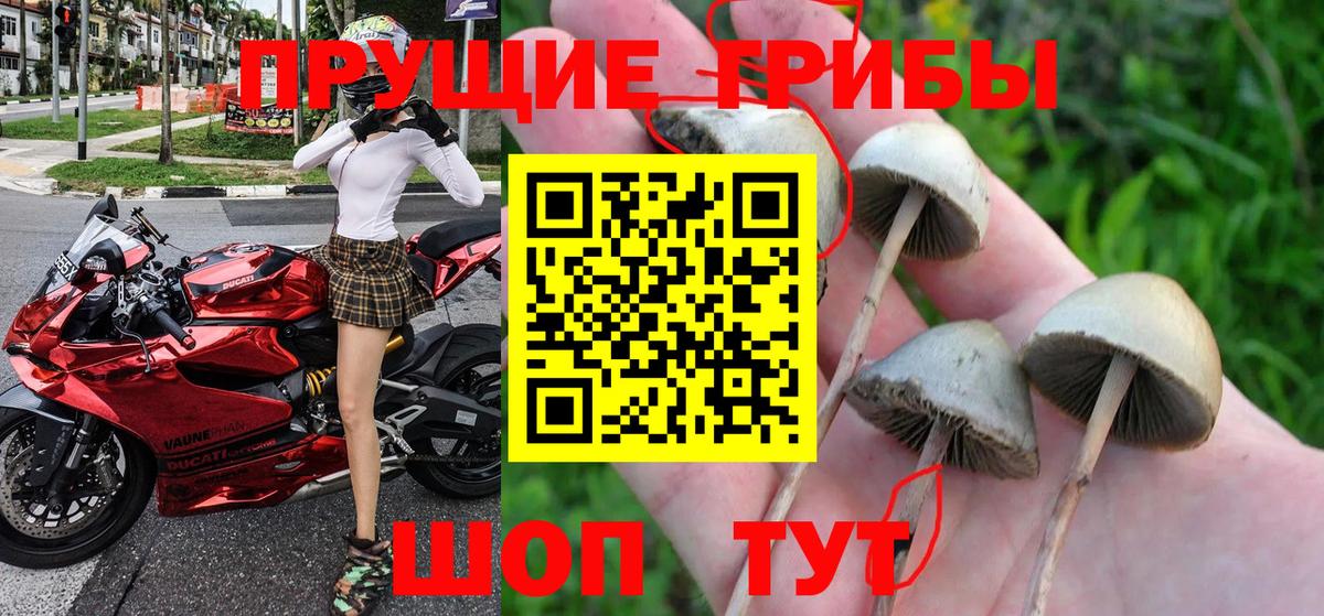 Галлюциногенные грибы Magic Shrooms  Вход с VPN  купить наркотик  Псилоцибиновые грибы Magic Shrooms  Рязань 